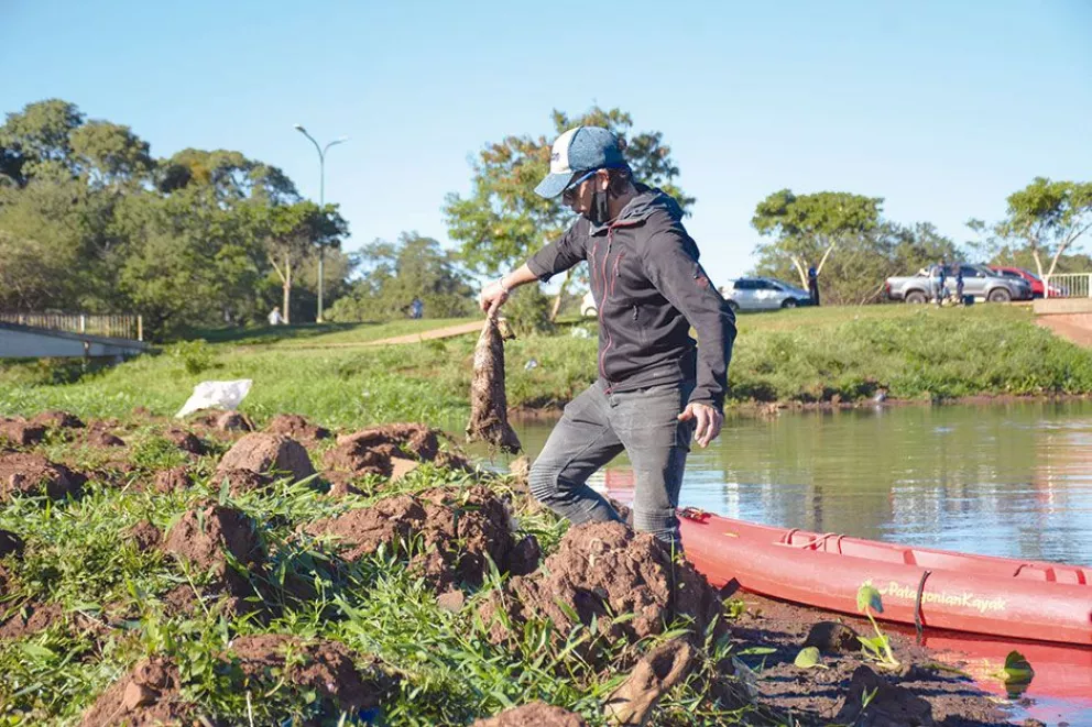 Más de 40 personas limpiaron el arroyo Antonica de Posadas