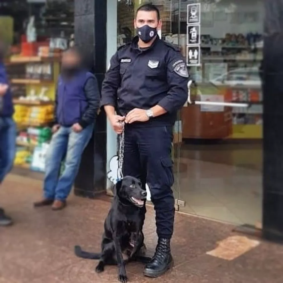 Un perro que fue atropellado ahora hace guardia policial en San Javier