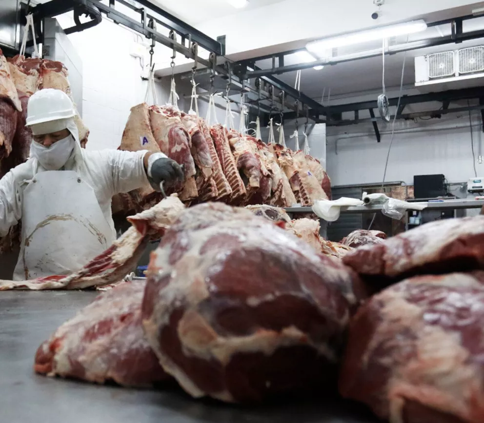 Quedó oficializado el nuevo esquema de exportaciones para la carne bovina