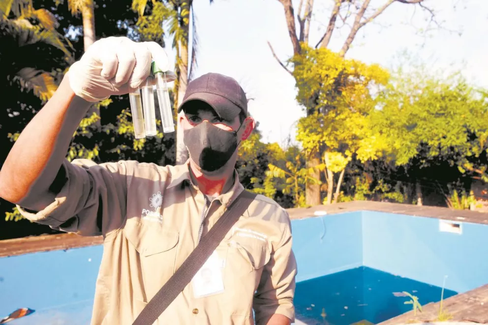 Dengue: región en alerta por las condiciones climáticas