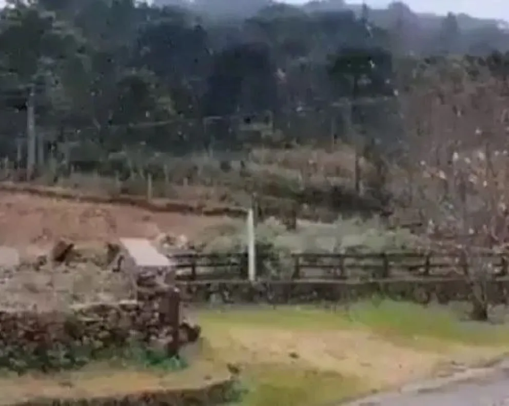 Ola de frío 