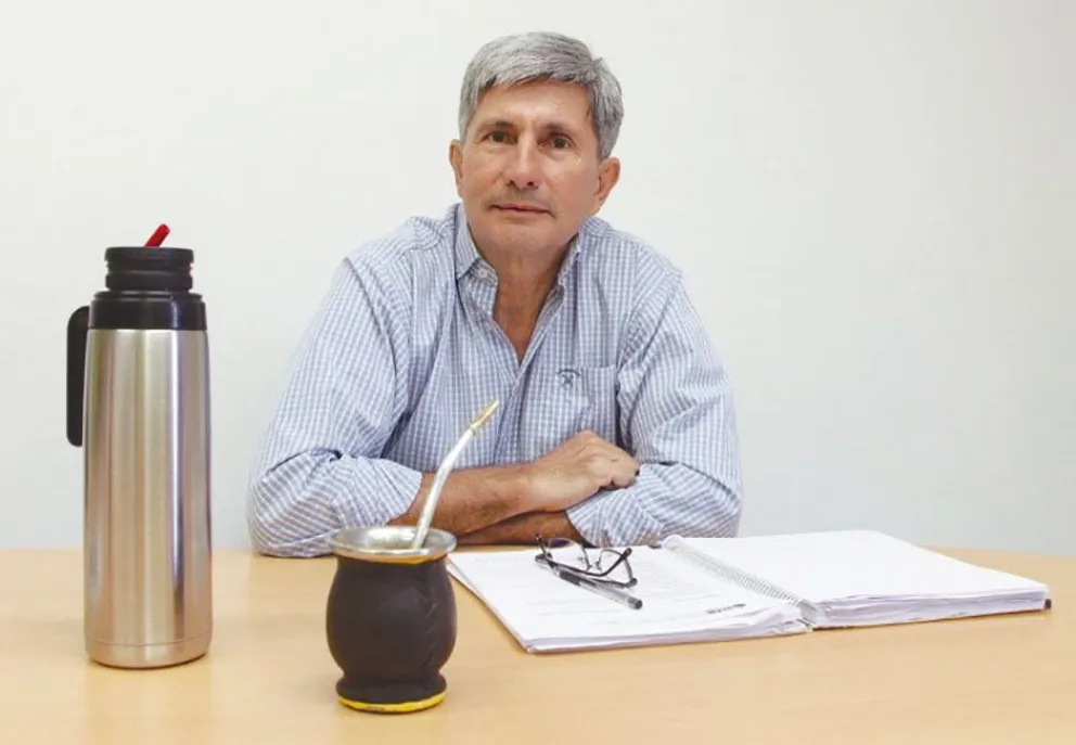 Afirman que la provisión futura de yerba está garantizada