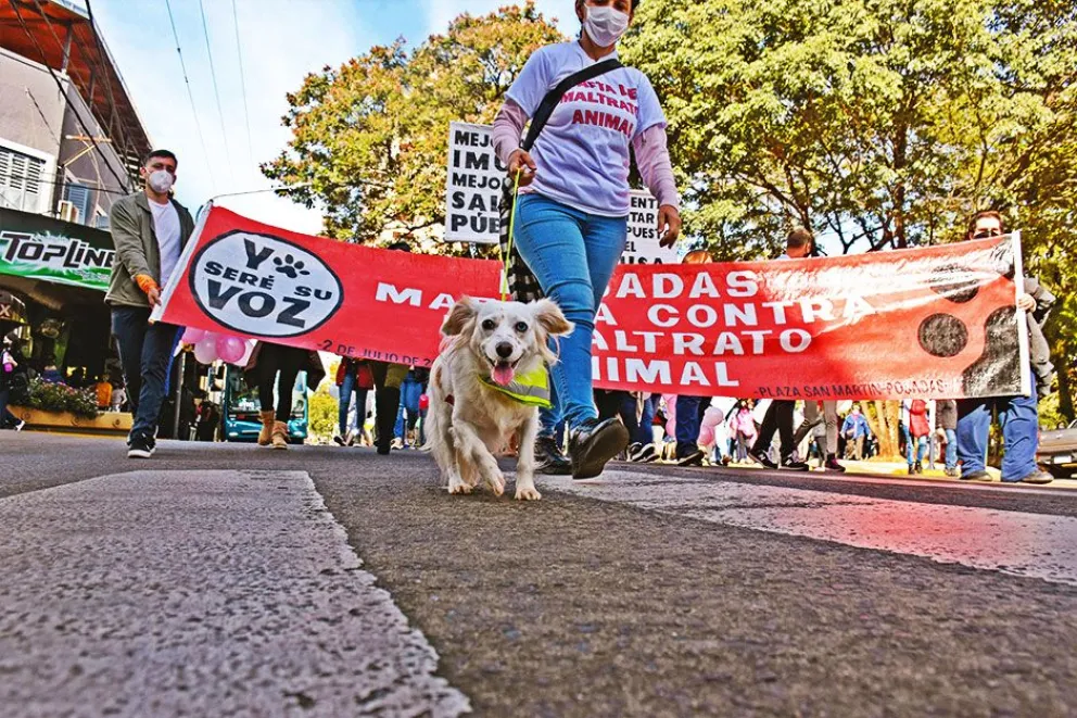 Proteccionistas, rescatistas y autoconvocados marcharon ayer en el centro de Posadas a favor de los derechos de los animales; pidieron castraciones masivas y gratuitas y el cumplimiento de la tenencia responsable. Foto: Nicolás Oliynek