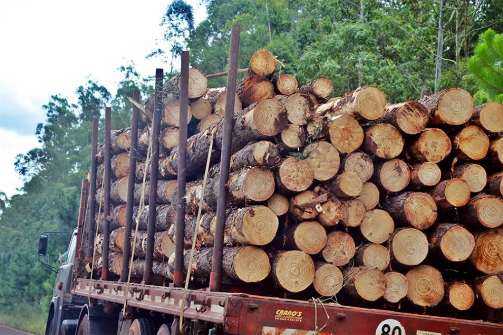 Asociaciones cuestionan la tasa de servicios forestales