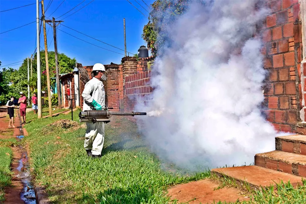 Futura vacuna contra el dengue, con aporte de científica misionera