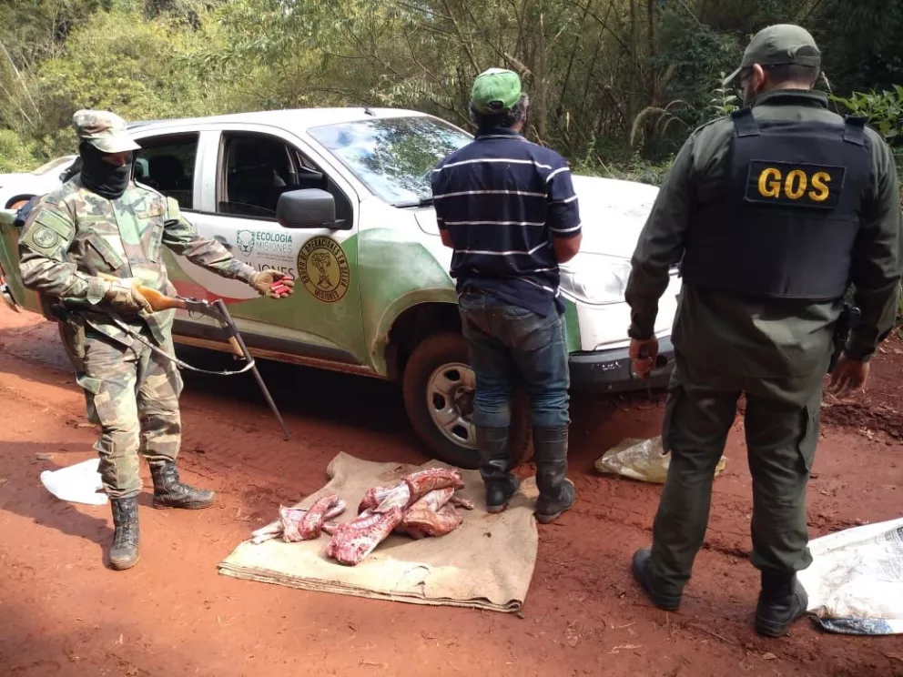 Armas, demorados y presas secuestradas en operativos para frenar la caza furtiva 