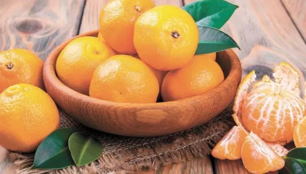 Más ventas de mandarinas y productos con yerba mate